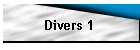 Divers 1